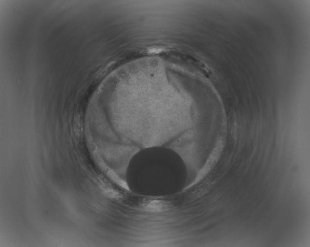 X0000080740467200701121941