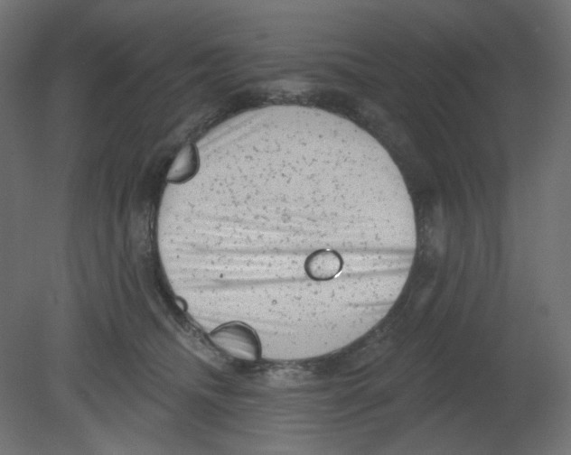 X0000080740468200701121941