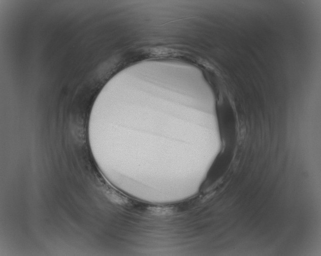 X0000080740469200701121941