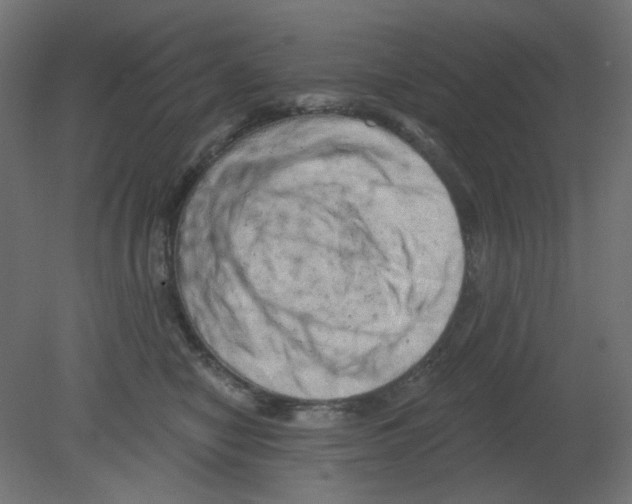 X0000080740470200701121941