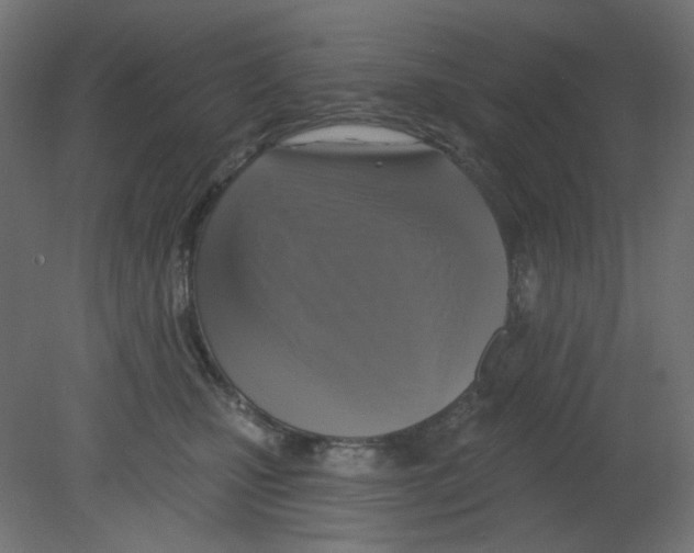 X0000080740471200701121941