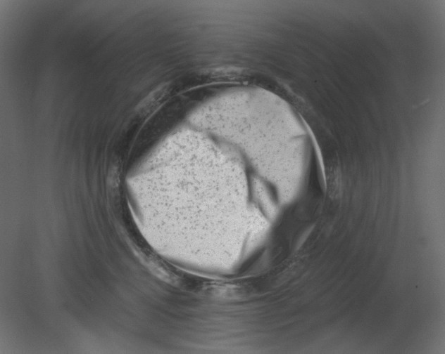 X0000080740472200701121941