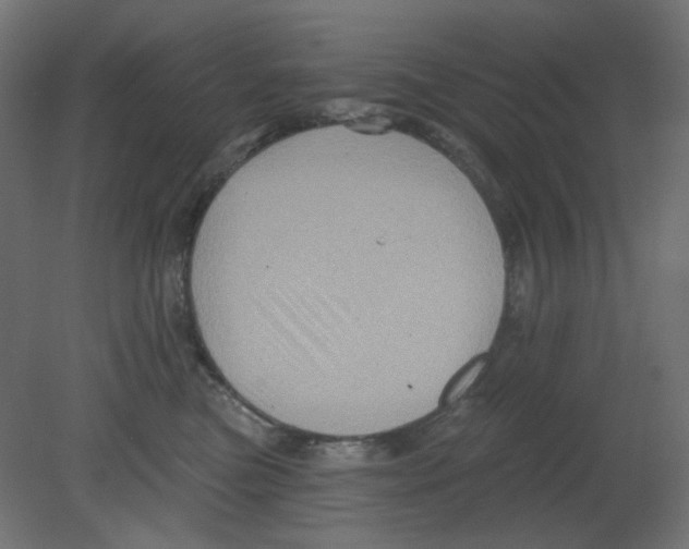 X0000080740473200701121941