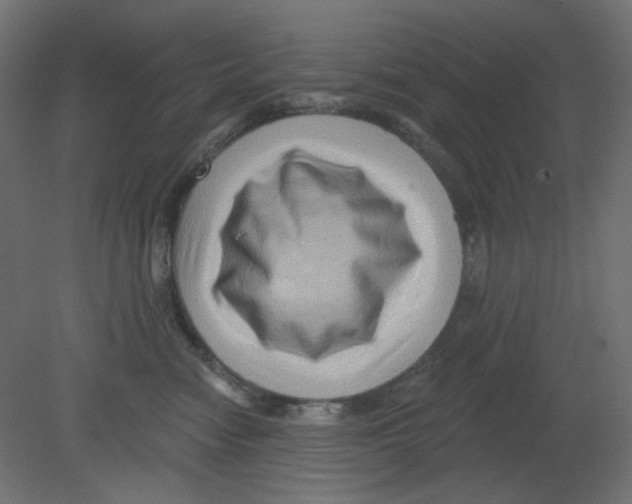 X0000080740474200701121941