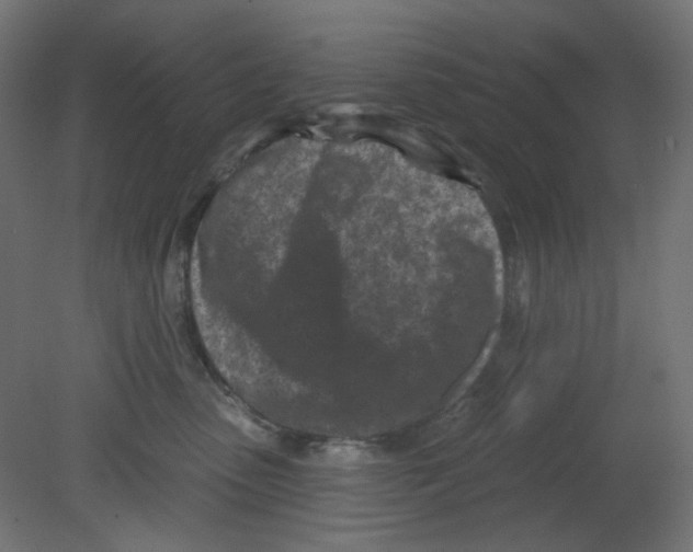 X0000080740475200701121941