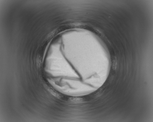 X0000080740476200701121941