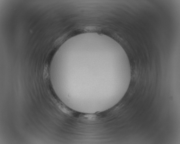 X0000080740478200701121941