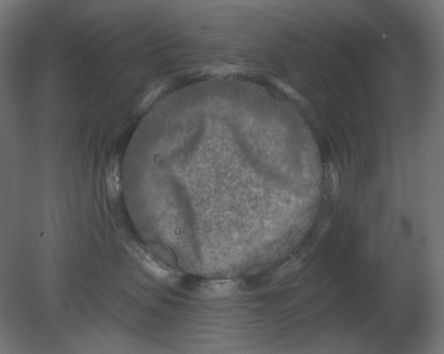 X0000080740479200701121941