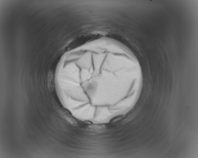 X0000080740480200701121941