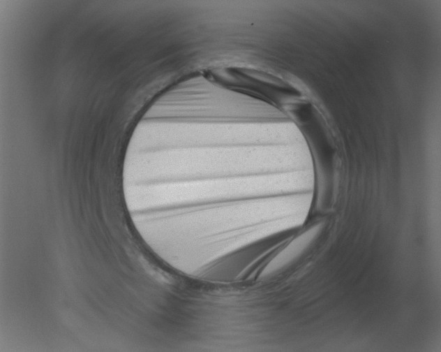 X0000080740481200701121941