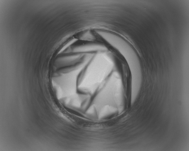 X0000080740485200701121941