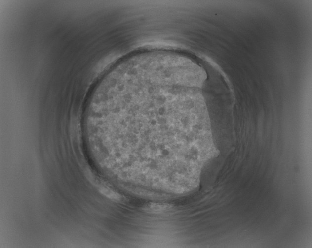 X0000080740487200701121940