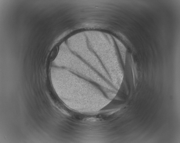 X0000080740488200701121940