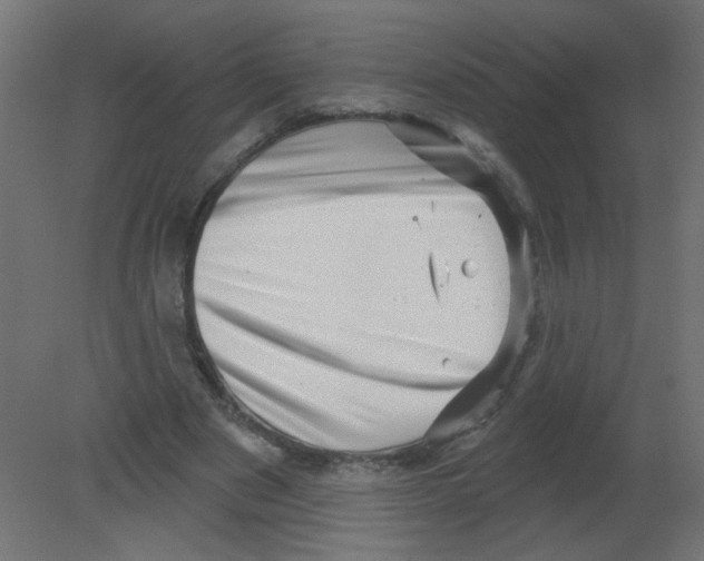 X0000080740489200701121940