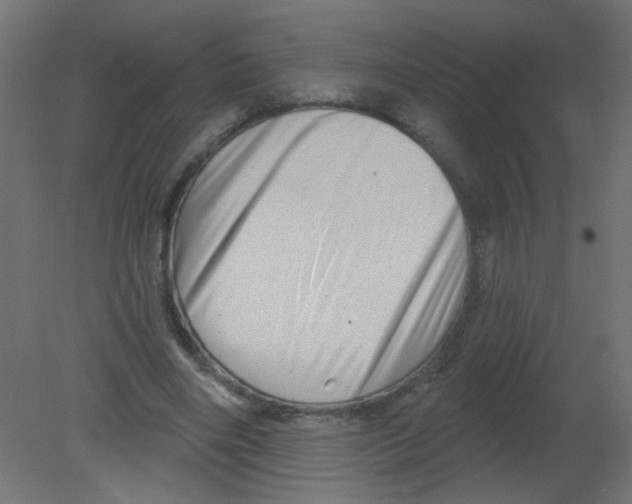 X0000080740490200701121940