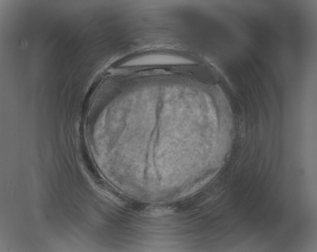 X0000080740491200701121940