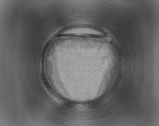 X0000080740494200701121940