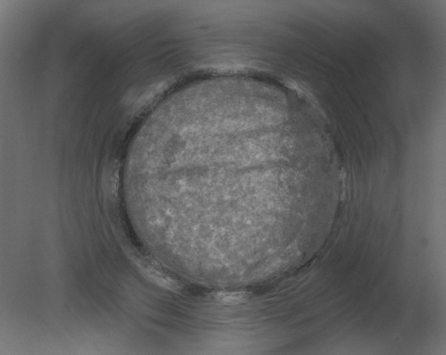 X0000080740495200701121940