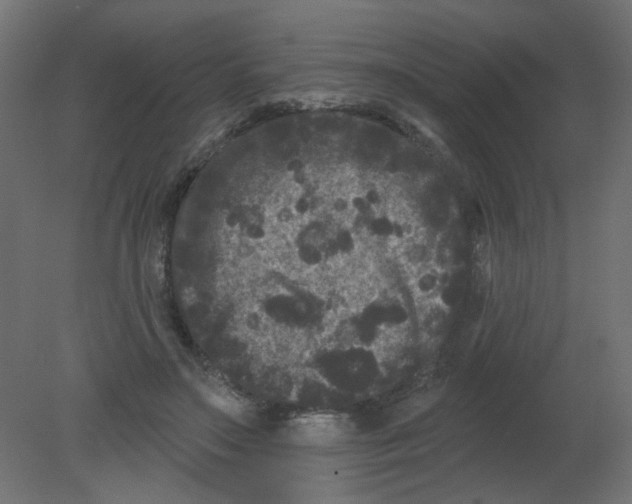 X0000080740499200701121940