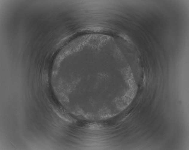 X0000080740500200701121940