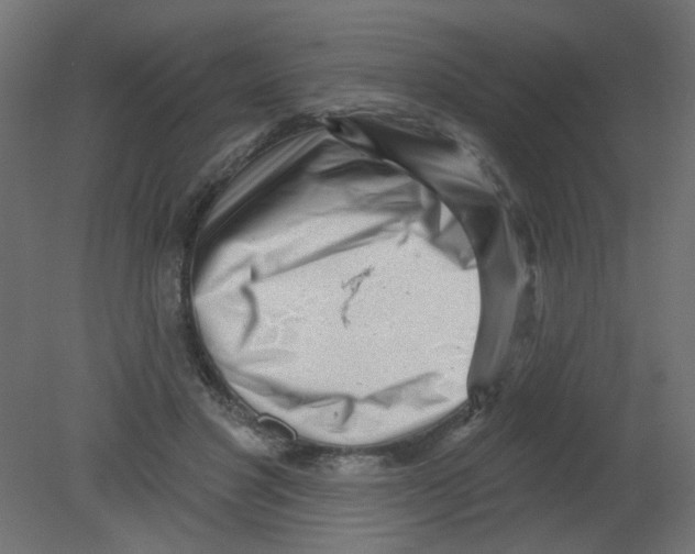 X0000080740501200701121940