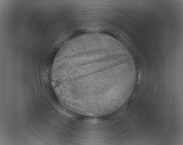 X0000080740503200701121940