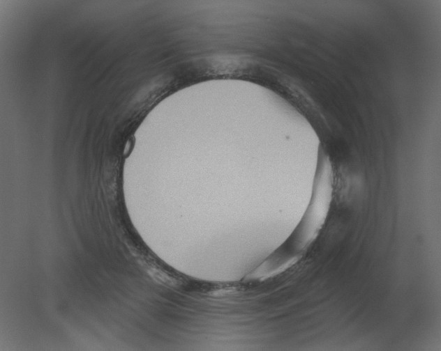 X0000080740505200701121940