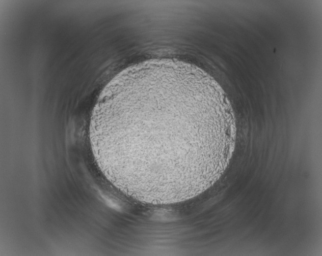 X0000080740507200701121940