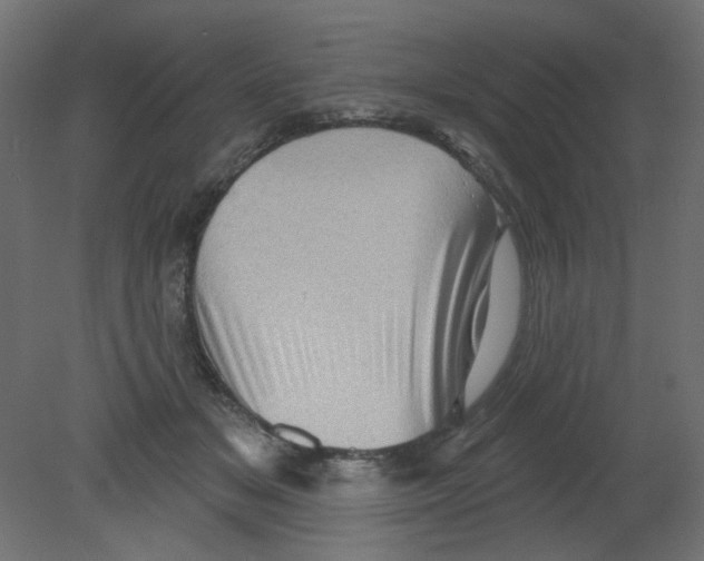 X0000080740509200701121940