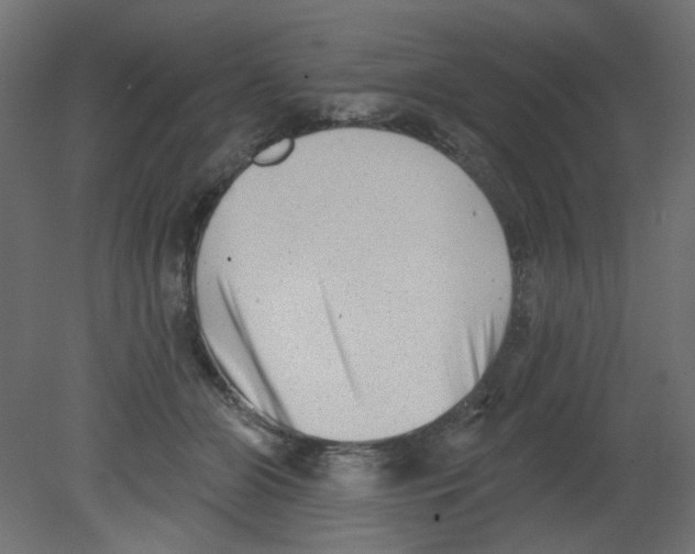 X0000080740510200701121940