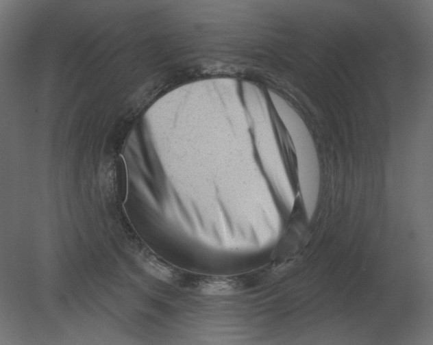 X0000080740513200701121940