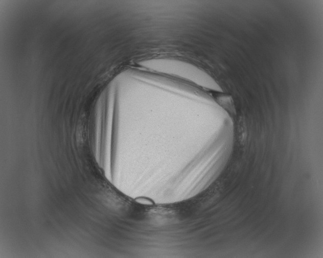 X0000080740515200701121940