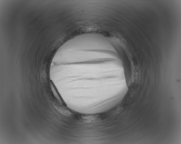 X0000080740516200701121940