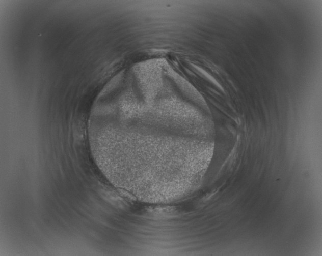 X0000080740517200701121940