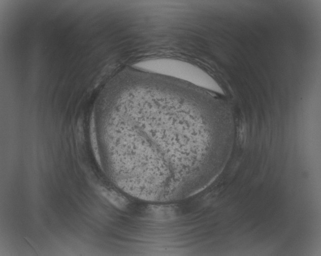 X0000080740520200701121940