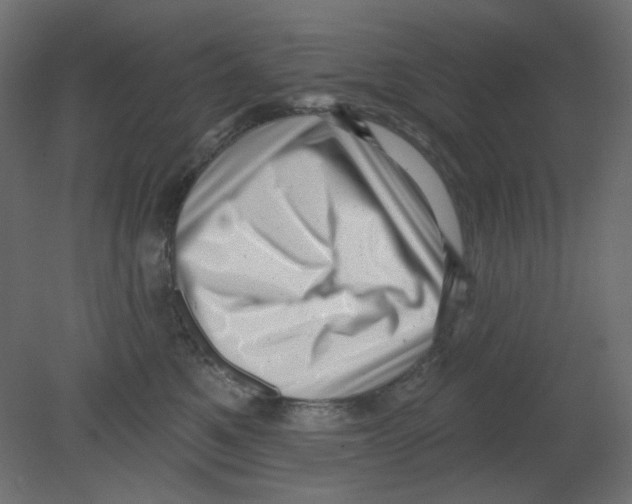 X0000080740521200701121940