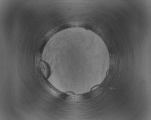 X0000080740526200701121940