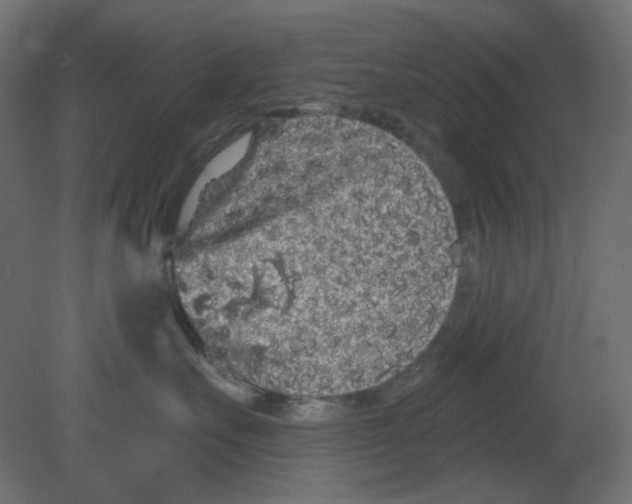 X0000080740527200701121940