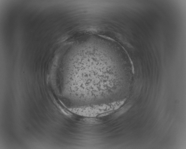 X0000080740528200701121940