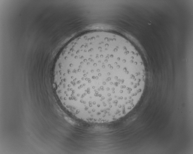 X0000080740529200701121939