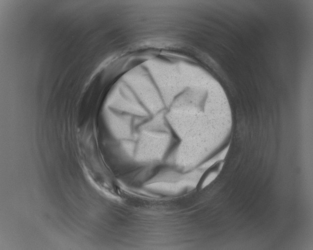 X0000080740530200701121939