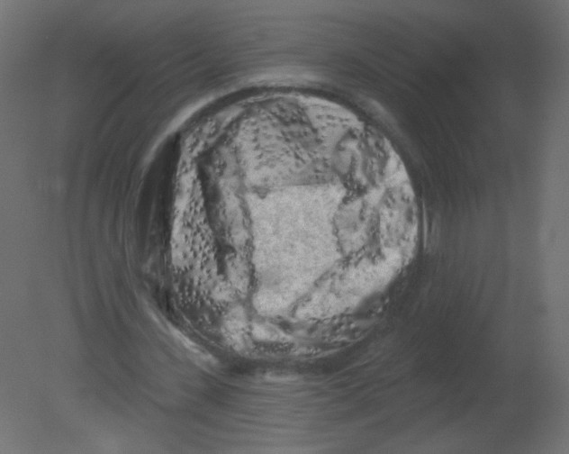 X0000080740531200701121939