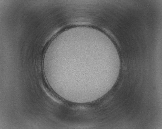 X0000080740533200701121939