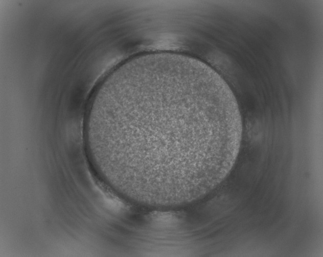 X0000080740534200701121939