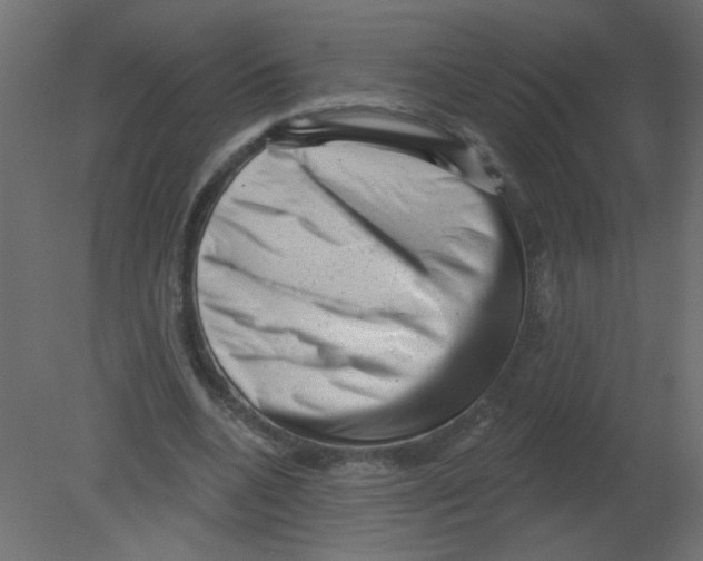 X0000080740536200701121939