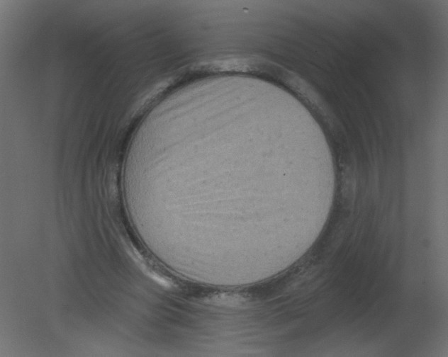 X0000080740537200701121939