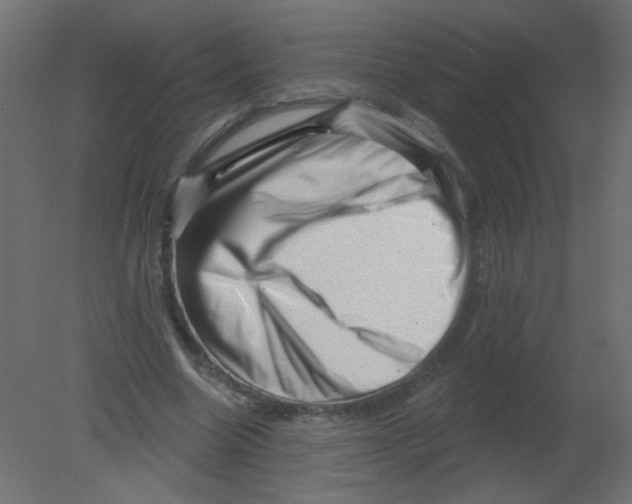 X0000080740538200701121939