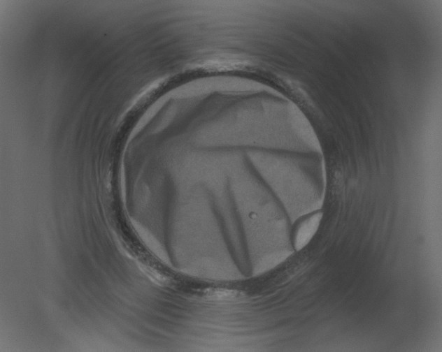 X0000080740539200701121939