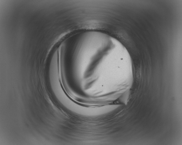 X0000080740540200701121939