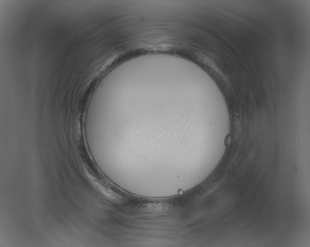 X0000080740541200701121939